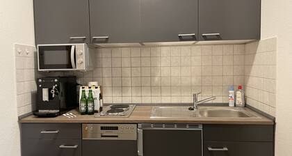 Wunderschönes Appartment - 50m vom Trierer Palastgarten