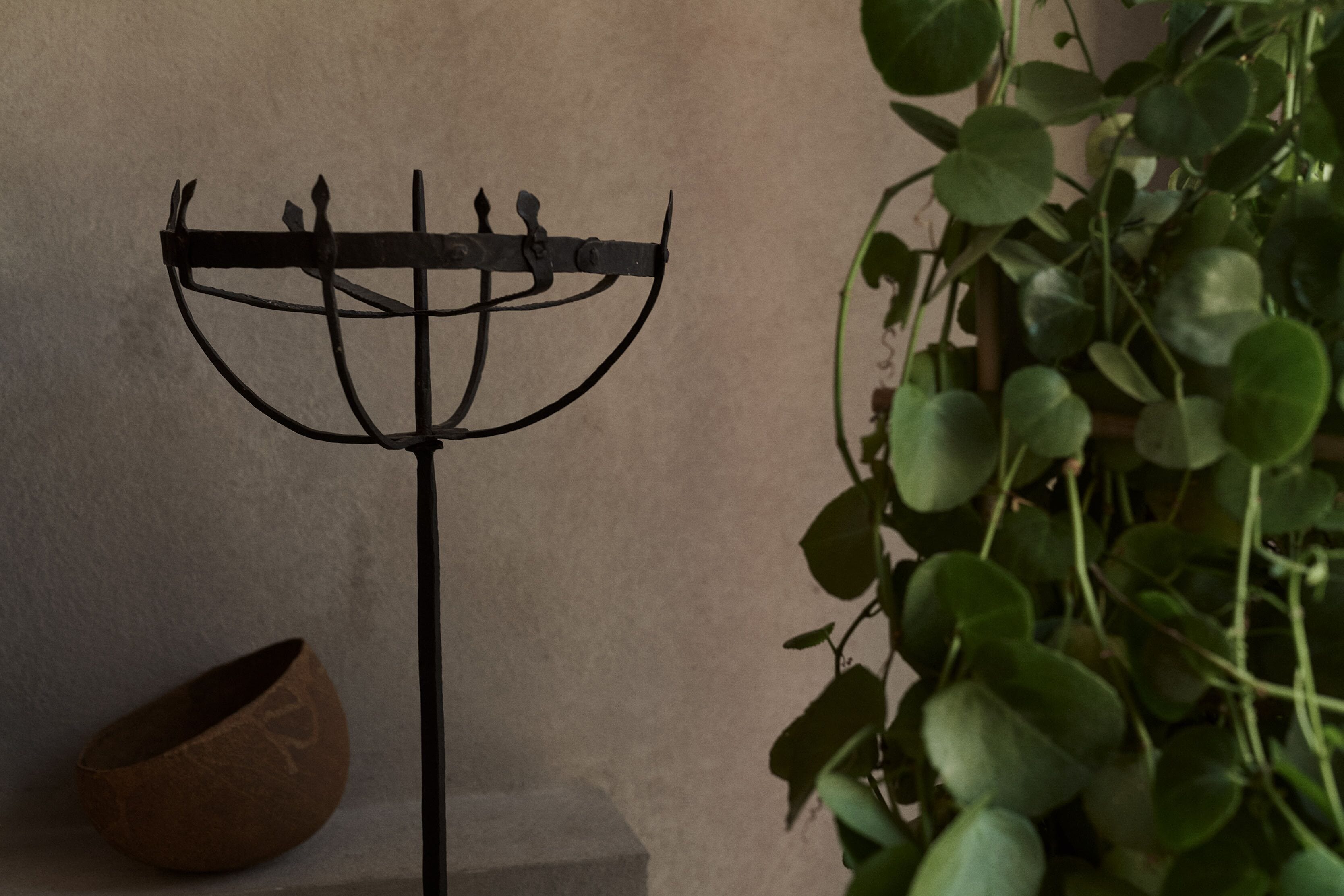 A metal rack with hooks, a brown bowl, and green foliage against a plain wall.