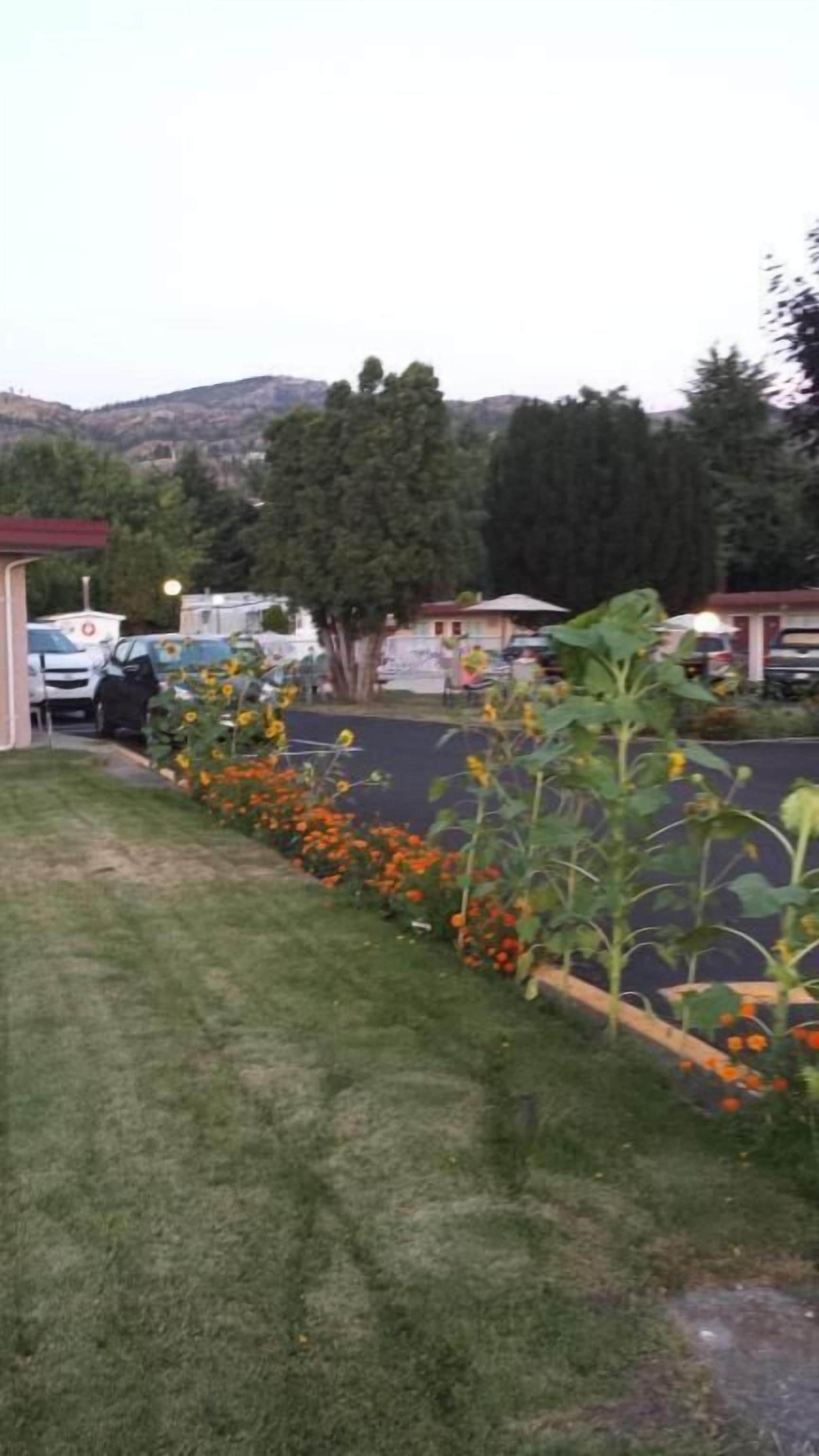 Overnattingsstedets uteområder