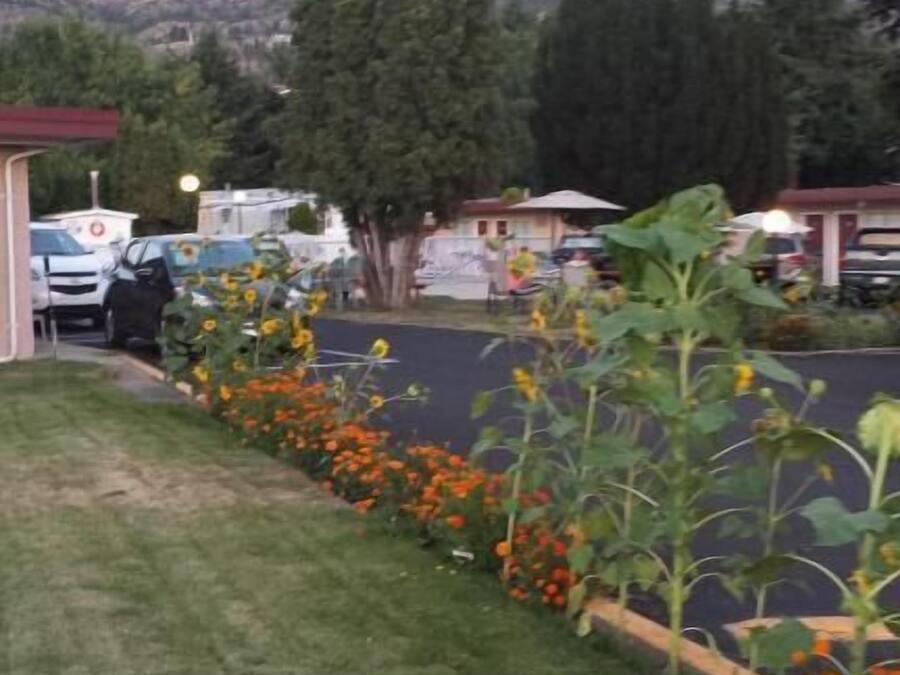 Jardines del alojamiento