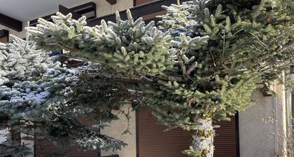 Superbe Studio 28m2 / Station Été - Hiver Ancelle