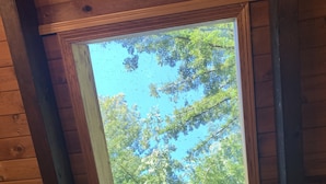A skylight in a wooden ceiling with a view of green trees. - Large house Up in the Redwoods perfect for large families. Pet friendly.  (Fortuna)