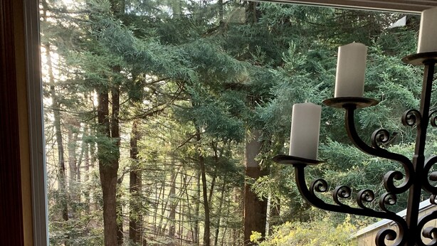 A window with a view of a forested area and a candle holder. - Large house Up in the Redwoods perfect for large families. Pet friendly.  (Fortuna)