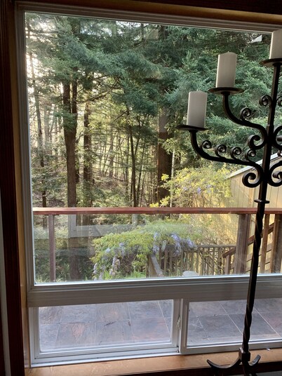 Large house Up in the Redwoods perfect for large families. Pet friendly.
