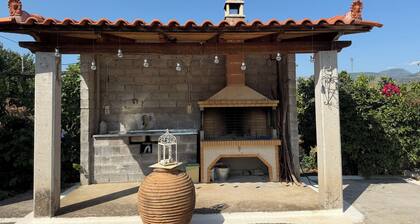 Andrea's House