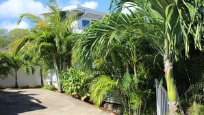 A concrete pathway leading to a white building with a window, surrounded by lush green palm trees.