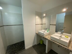 Regadera, secadora de cabello, toallas, papel de baño 