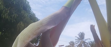 室外泳池