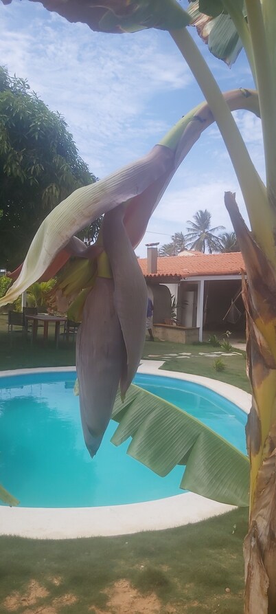Casa Caraibe Playa el Agua Vacances Inoubliable au Soleil