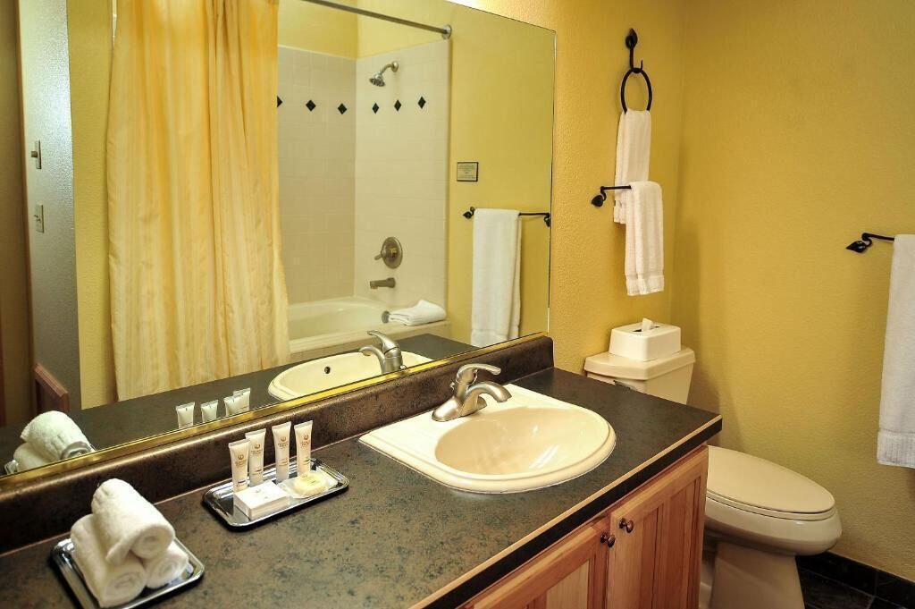 Hair dryer, towels, toilet paper