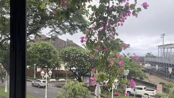 家庭公寓 | 露台/庭院