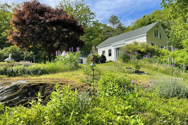 Late spring blooms