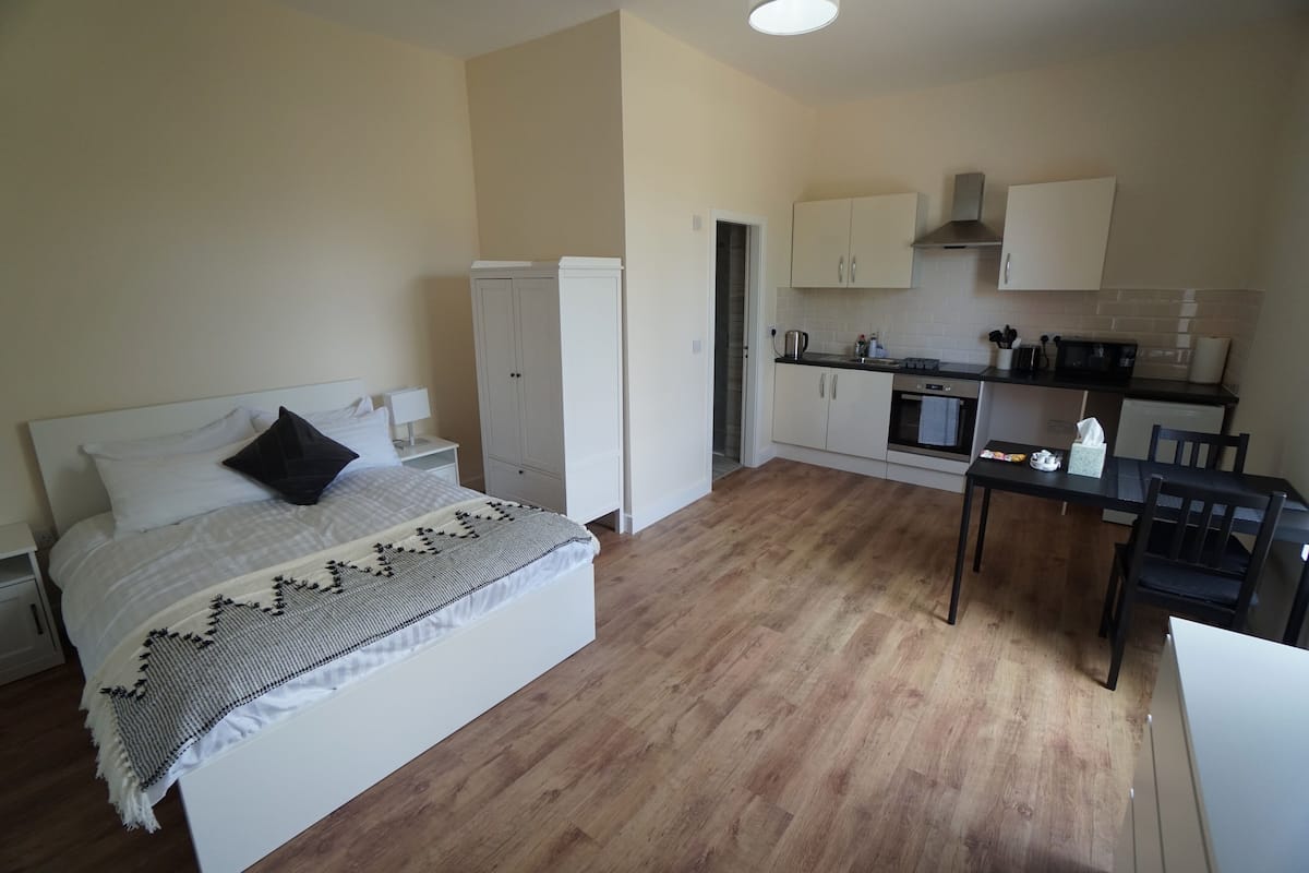 A bedroom with a bed, bedside tables, a wardrobe, and a kitchenette with a stove, sink, and cabinets.