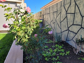 Overnatningsstedets område