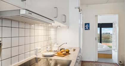 Superbe appartement Ă FanĂž avec WiFi