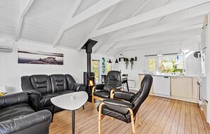 智能电视、壁炉