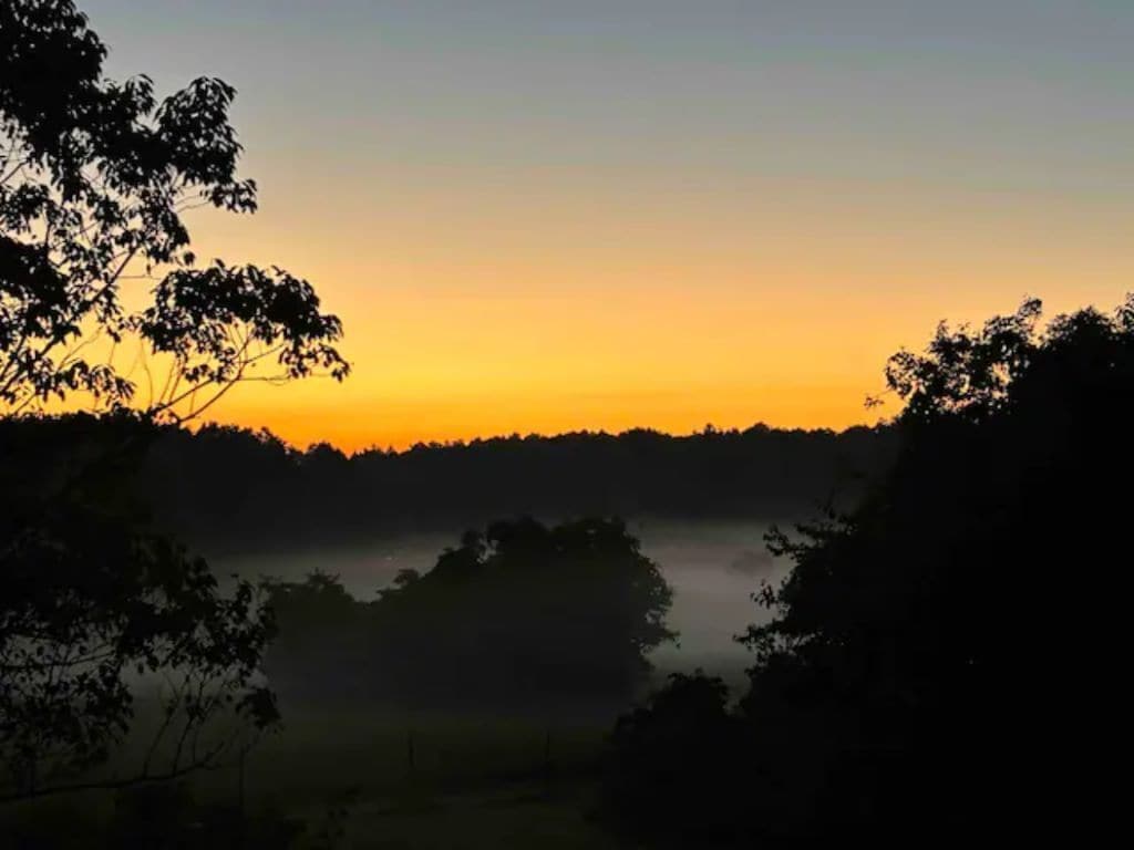 A sunrise over a forested landscape with a misty foreground.