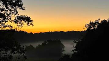A sunrise over a forested landscape with a misty foreground.