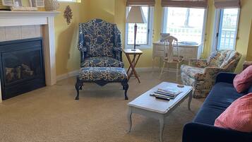 Smart TV, fireplace, books