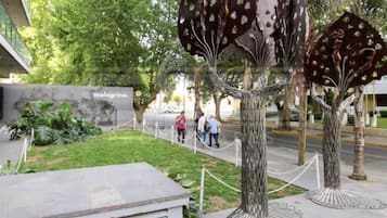 Imagen general