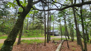 A cabin in a forest with a dirt path leading to it.