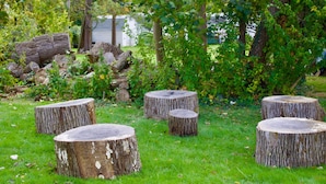 A grassy outdoor area with four wooden stumps arranged in a semi-circle.