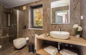 Shower, hair dryer