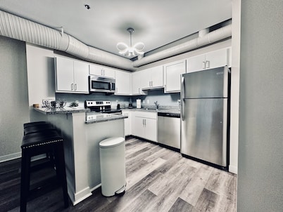 Luxurious Downtown Penthouse w/ Private Terrace and Free Parking for 1 vehicle
