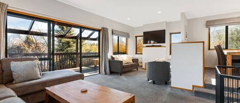 Televisión, chimenea