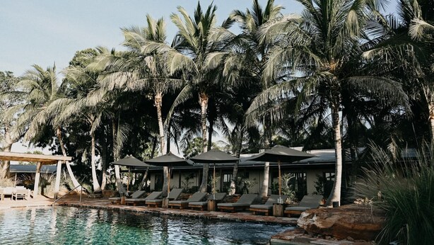 A poolside area with lounge chairs and umbrellas, surrounded by palm trees. - Bullo River Station (Baines)