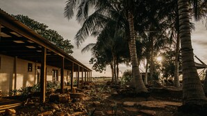 A covered outdoor area with a stone pathway, palm trees, and a building with a wooden roof. - Bullo River Station (Baines)