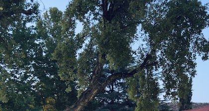 Estate Villa OINOI with Pool