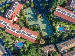 Sports court - Great Location! Walk to Everything in South Kihei! (Kihei)