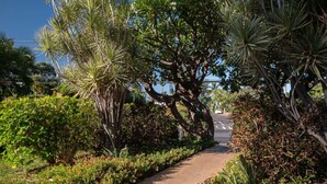 A pathway flanked by dense foliage and trees, leading to a road. - Great Location! Walk to Everything in South Kihei! (Kihei)