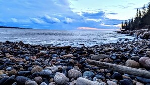 A rocky shoreline with a view of the ocean and a forested area in the background. - Oceanfront Cottage w/ Fire Pit & Sunset Deck (Gouldsboro)