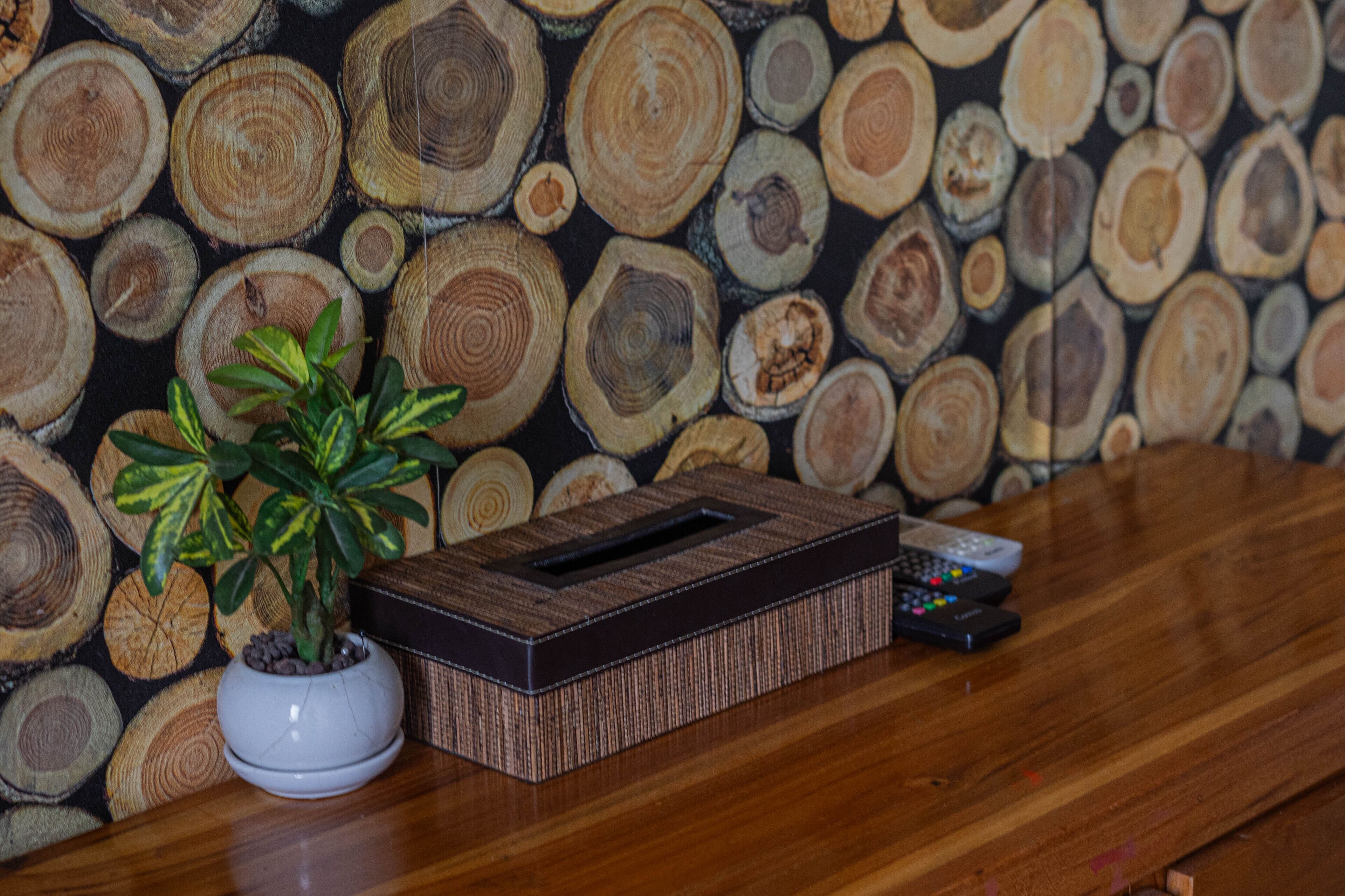 A wooden table with a potted plant, a tissue box, and remote controls.