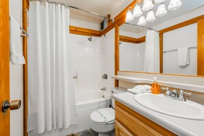 Hair dryer, towels, shampoo, toilet paper
