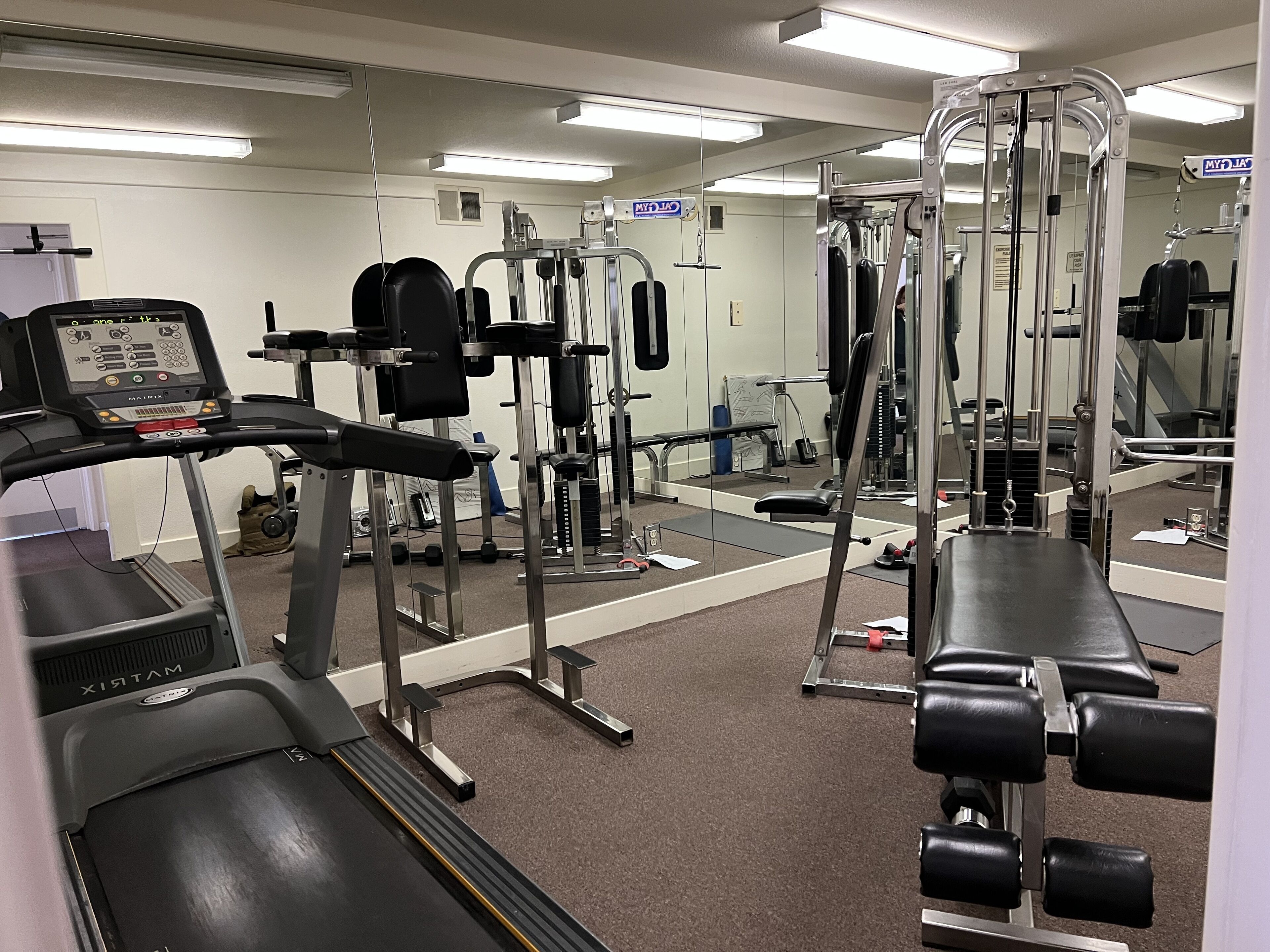 Une salle de sport équipée de tapis de course, d’appareils de musculation et d’un mur recouvert de miroirs.