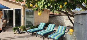 Terrasse/gårdhave