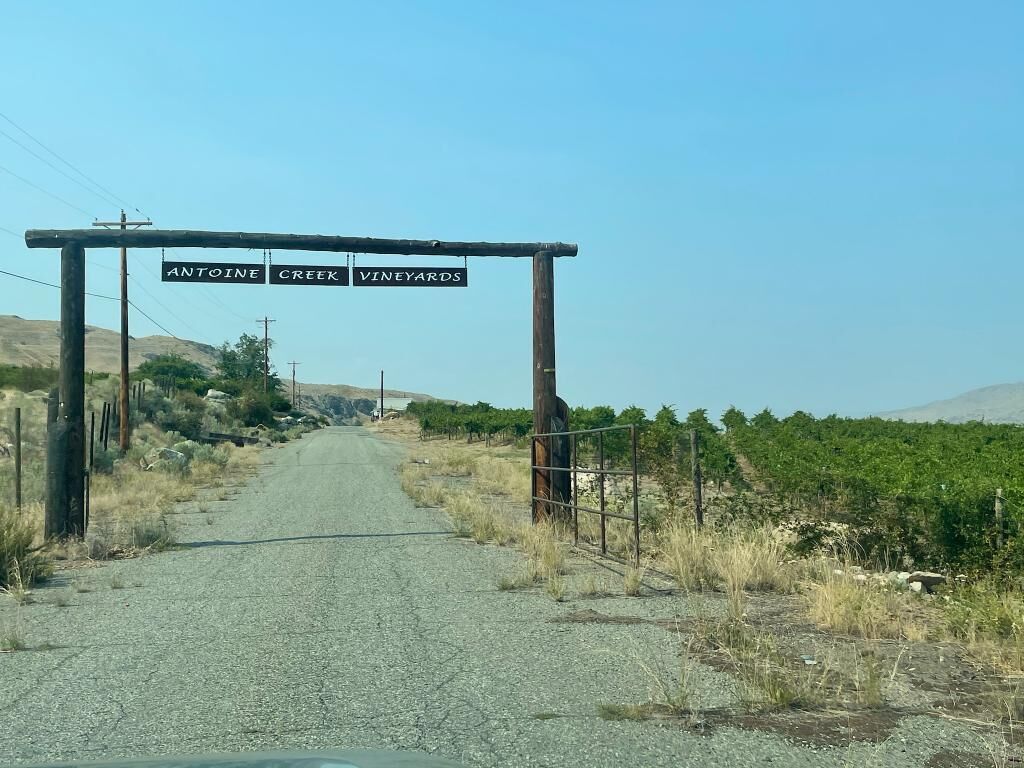 Un camino rural con un letrero que dice 'Antoine Creek Vineyards'.