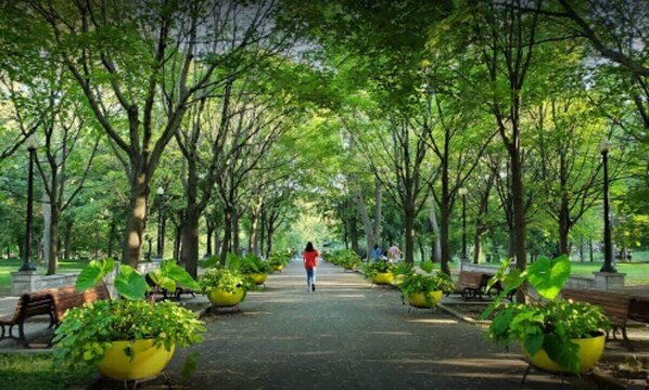 A park pathway lined with benches and yellow planters.