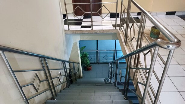 Un escalier avec des rampes en métal et un pot de fleurs à sa base.