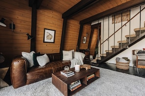 TV connectée, cheminée, livres, médiathèque