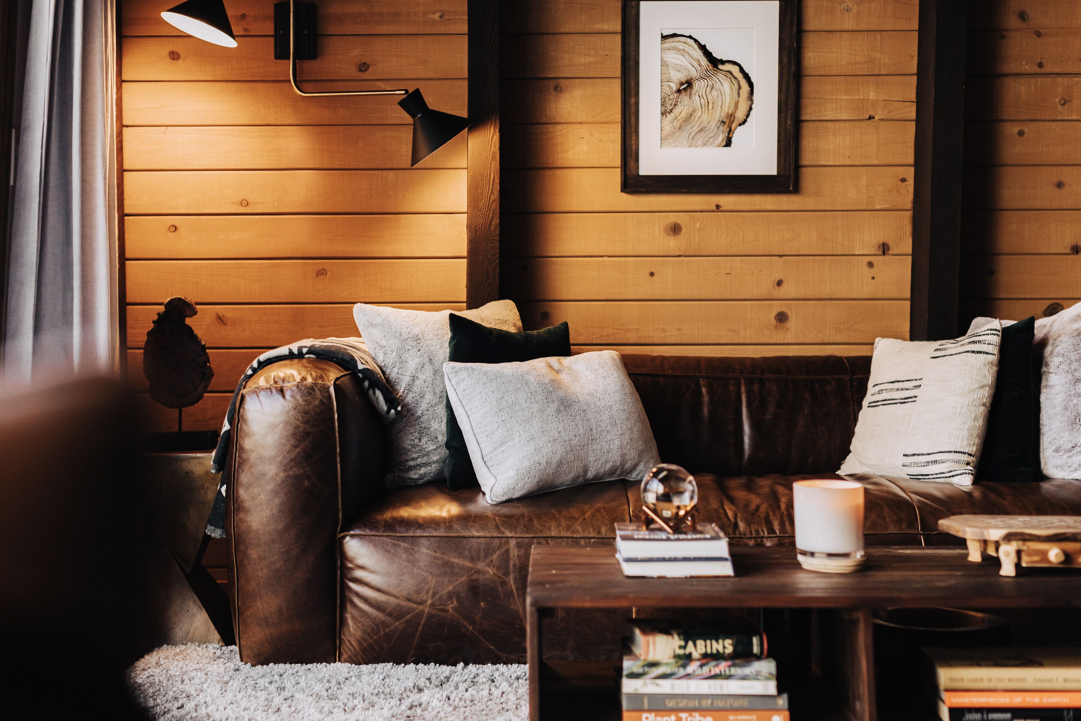 Smart TV, chimenea, libros, biblioteca de música