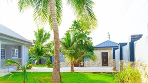 Zona residencial con una casa de fachada de piedra, techo azul y un pequeño jardín delantero con palmeras y césped.