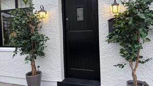 Een zwarte deur met een ruwe witte muur, twee potplanten en twee wandlampen.