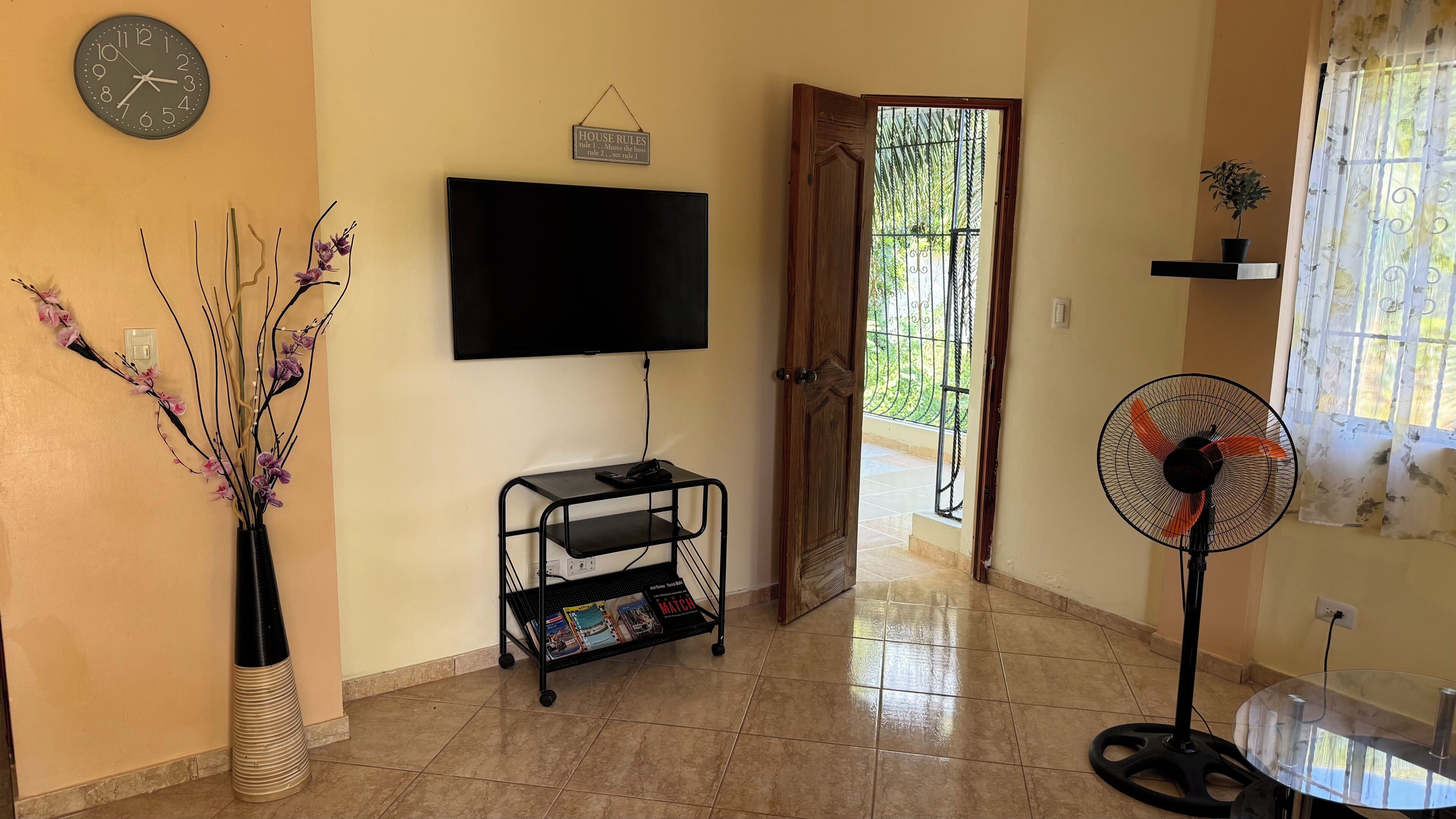 A living room with a TV, a plant, a fan, and a door leading outside.