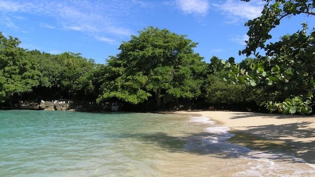 Ein Strand mit klarem türkisblauem Wasser, sandigem Ufer und dichtem Grün im Hintergrund.