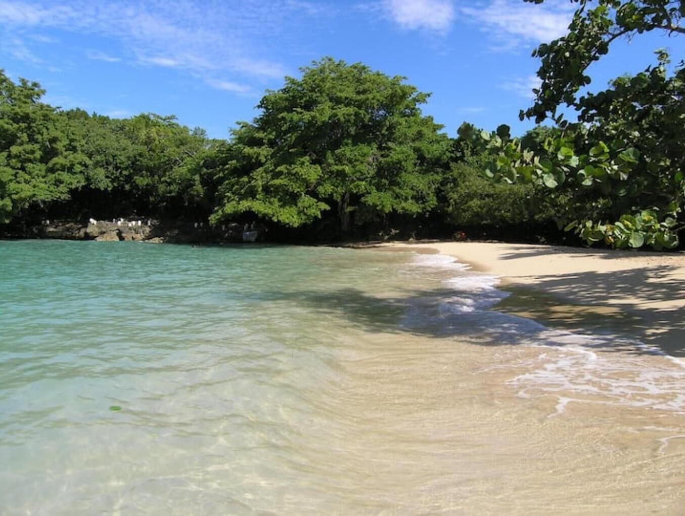 Une plage avec une eau turquoise et limpide, un rivage sablonneux et un feuillage verdoyant et dense en arrière-plan.