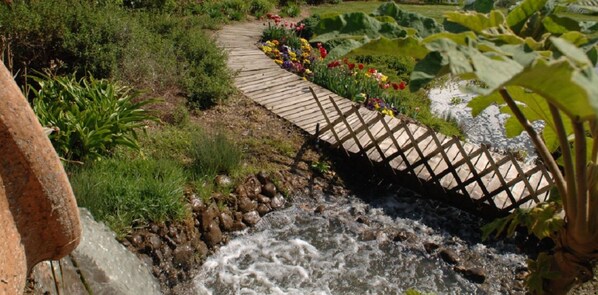 Property grounds - Le Gîte Nature Bien-être Entre Toulouse et Albi 🐕👍 Les Cottages du Tarn (Peyrole)